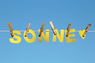 九游网游官网-体育新闻中心公告全国夏季赛事气象应急预案，赛事应急预案模板